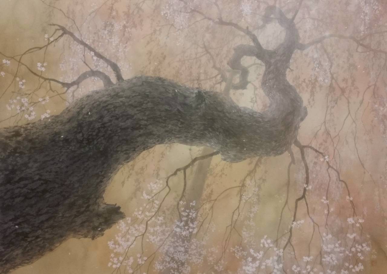 明日への道、日本画、絹本・墨・岩絵の具、花咲く枝垂れ桜の古木