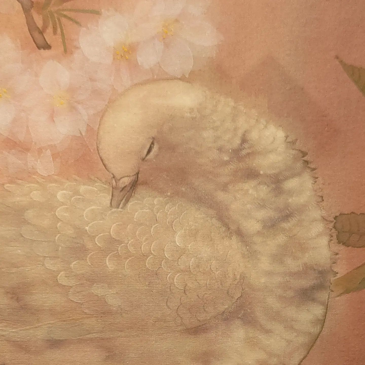 『花燦花』F15
八重桜の枝の上で、はづくろいをしている鳩を描きました。八重桜の花びらは薄い後粉を使い、一枚一枚透けるように描いています。

中内共路個展『風の言の葉』
場所　広島福屋八丁堀本店7階美術画廊
会期　12月8日（木）～14日（水）
時間　10:30～19:30　（最終日は16:00まで）