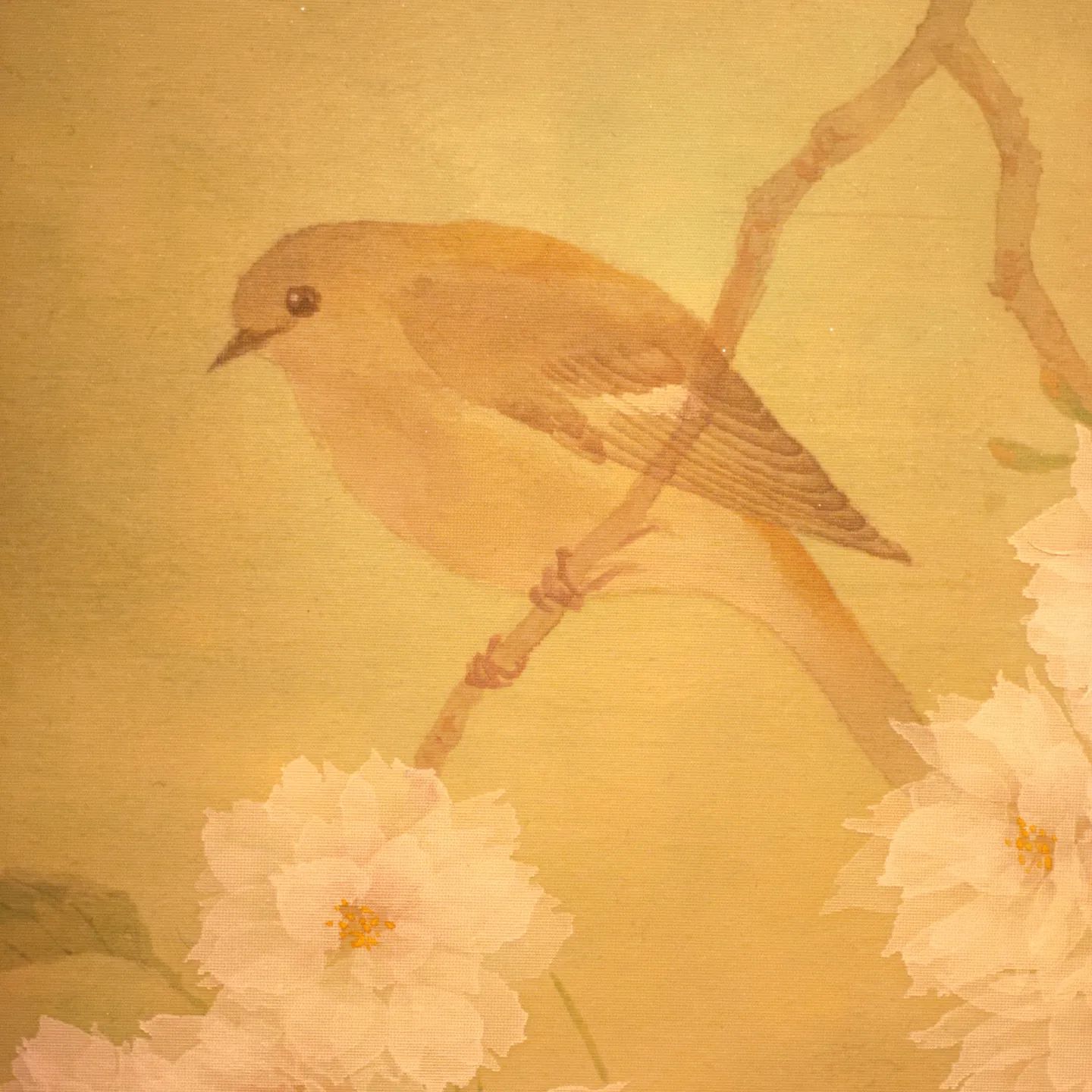 『４月になれば』
秋頃日本に渡ってきて、4月の桜が咲く頃に日本を離れていくジョウビタキのメスを描きました。

中内共路個展『風の言の葉』
場所　広島福屋八丁堀本店7階美術画廊
会期　12月8日（木）～14日（水）
時間　10:30～19:30　（最終日は16:00まで）